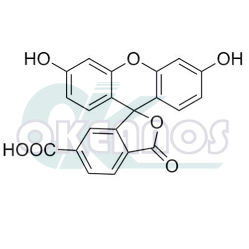 6-Carboxy Fluorescein;  6-FAM