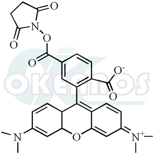 6-Carboxytetramethylrhodamine succinimidyl ester;6-TAMRA, SE