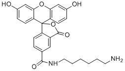 5-FAM-NH2.HCl