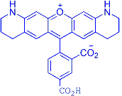 5-ROX-类似物