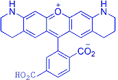 6-ROX-类似物