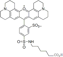 TeXred-aminocaproid(6isomer)