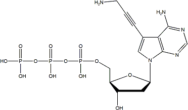 PA-dATP