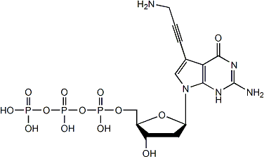 PA-dGTP