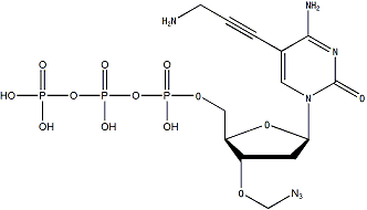 AP-dCTP-N3