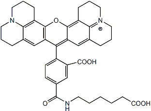 5-ROX-C6